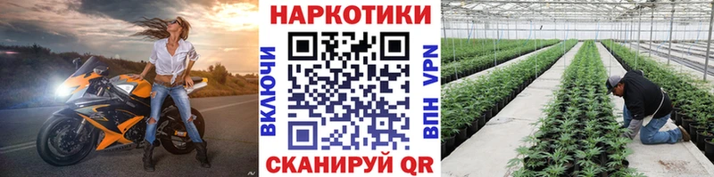 Купить закладку КОКАИН  Alpha PVP  МЕФ  Гашиш  АМФЕТАМИН  Марихуана  Мглин