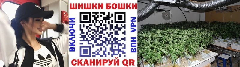 Купить где Мглин Конопля семена